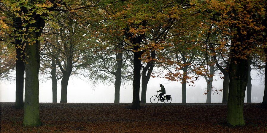 fietser rijdt in de herfst langs een mistig malieveld.